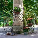 Vakantiehuis Hort De Roig